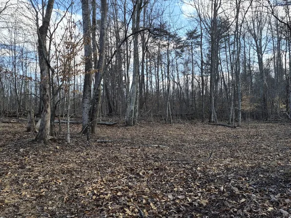 Knob Rd, Goshen, VA 24439