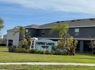 8727 Falling Blue Pl, Riverview, FL 33578