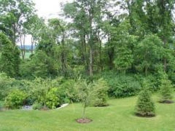3rd image of 640 Honeybrook Cir