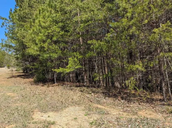 176 Windsor Way, Jasper, GA 30143