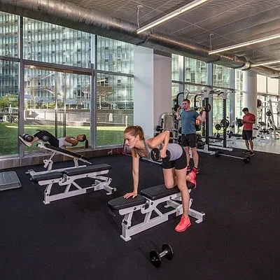 Rented by Two Trees | media 82