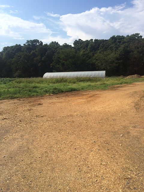 2nd image of 1126 Bunn Road