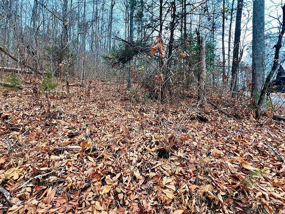 1st image of 10 Shagbark Hickory Rdg Lot 10