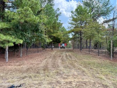 250 Mays Rd, Coldwater, MS, 38618