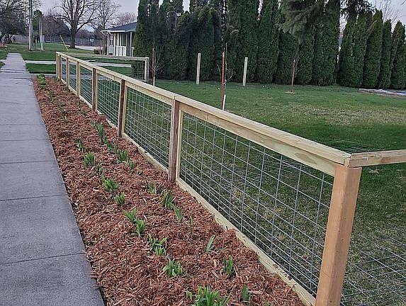 Fenced side yard with flower