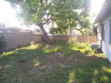 3rd image of 2204 E Deodar Ave