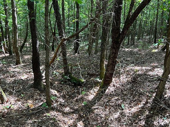 3rd image of 0 Sneed Rd