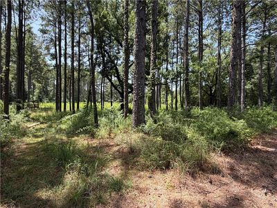 20146 Ellzey Rd, Kentwood, LA, 70444