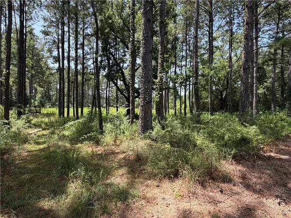 20146 Ellzey Rd, Kentwood, LA 70444