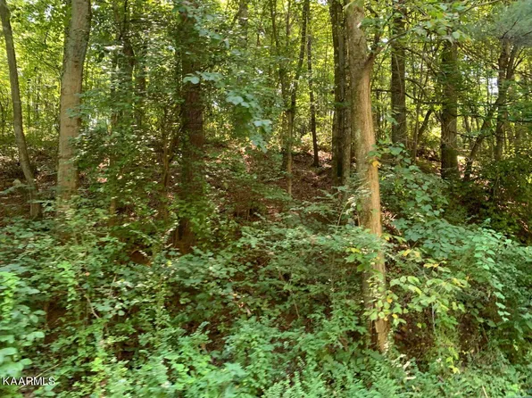 130 Fred Davis Jr Rd, Harriman, TN 37748