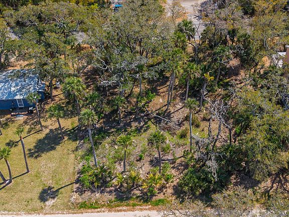 4th image of 307 Jungle Rd