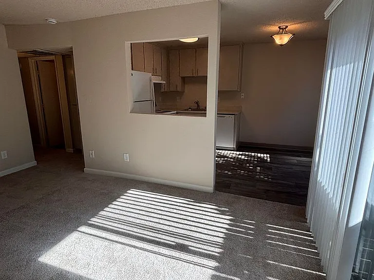 Olive Glen — Photo 16