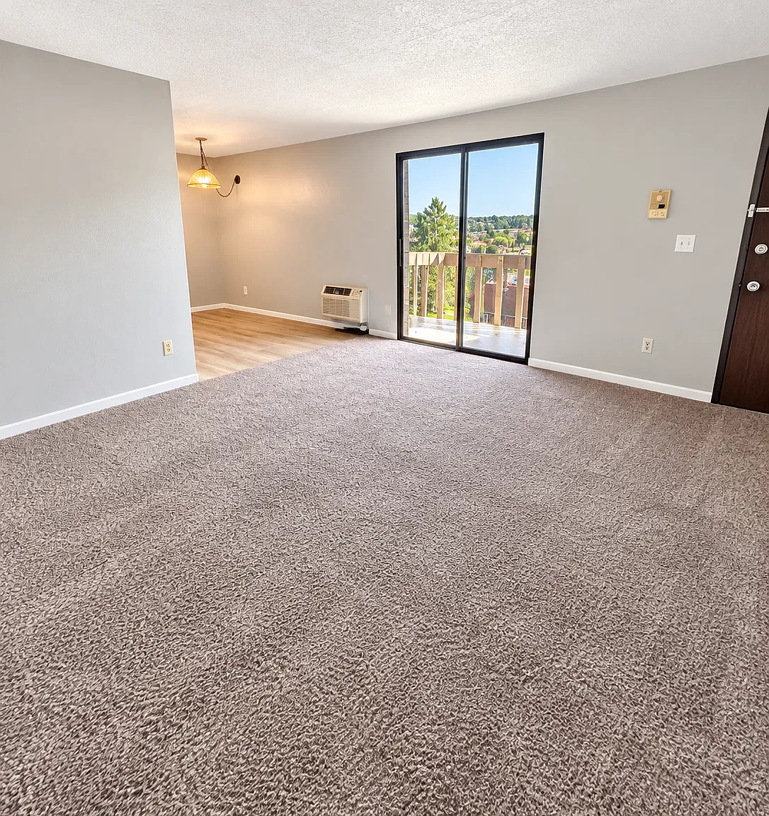 1 bed, 800 sqft, $950 — Photo 1