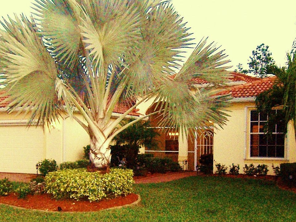 Front exterior showing stucco siding, lush landscaping, brick pavers on drive.