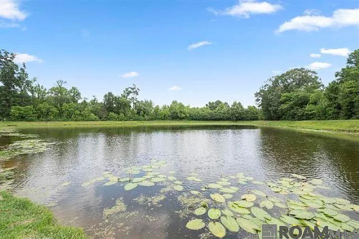 7728 Amite Springs Dr — Photo 14