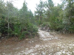 21506 Hobbyhorse Ln, Christmas, FL 32709