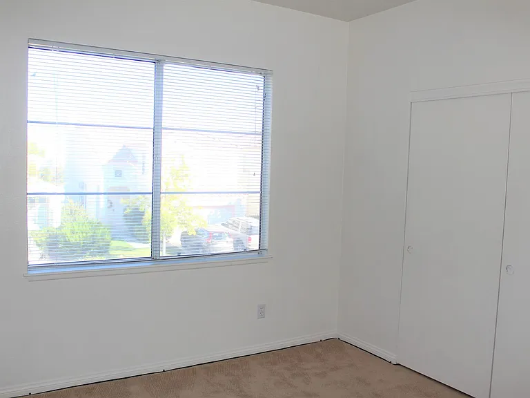 2241 Juniper Berry Dr — Photo 10
