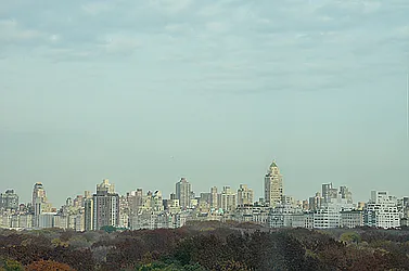 Sold by Barkin and Associates