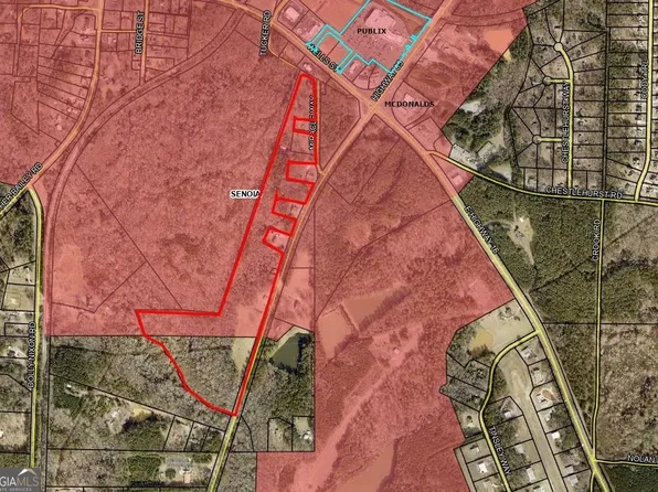 2594 State Highway 85, Senoia, GA 30276