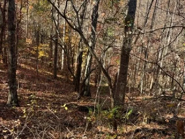 Hatcher Valley Rd, Horse Cave, KY 42749