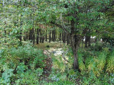 0 Chestnut St #2, Mount Jewett, PA, 16740