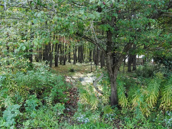 0 Chestnut St #2, Mount Jewett, PA 16740