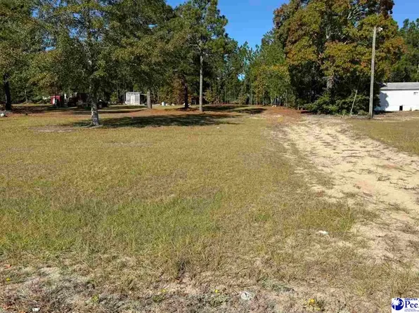 77 Murray Ln, Mc Bee, SC 29101