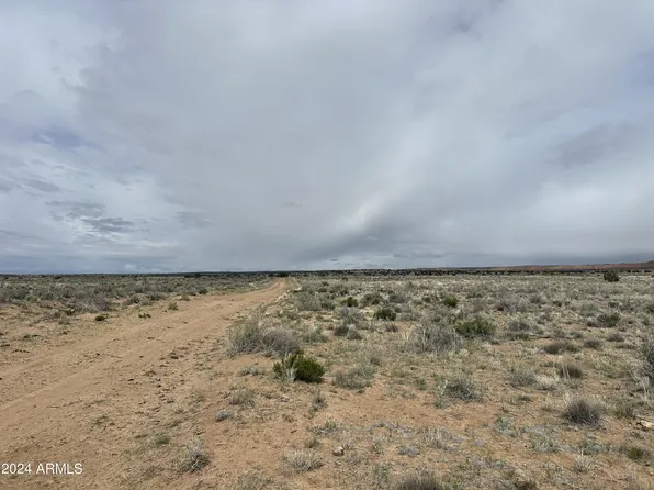 XXXX N7251 -- #294, St Johns, AZ 85936