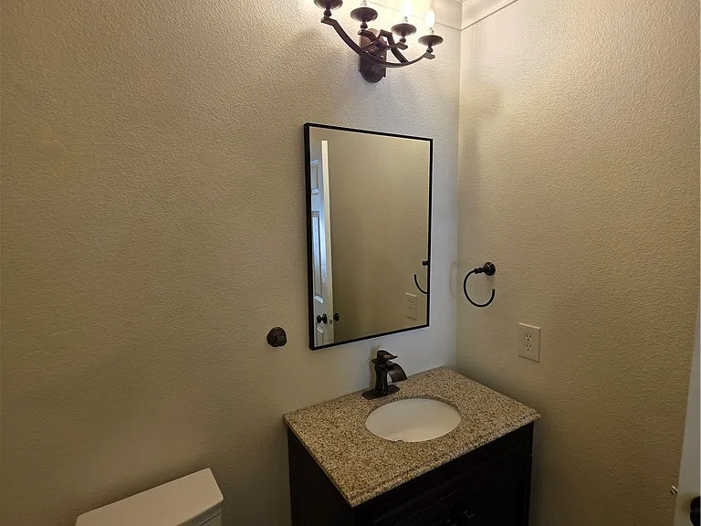 10799 Flame Vine Ct — Photo 84