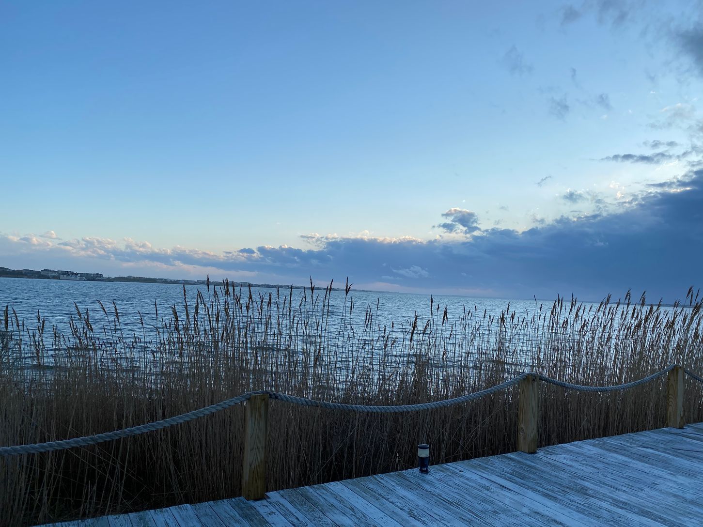 Gorgeous waterfront spot, hard to believe you are iun the Village!