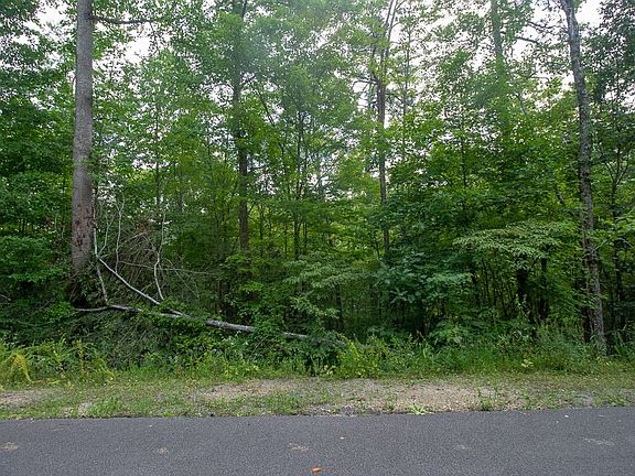 4th image of 5 Stepping Stone Dr Lot 5
