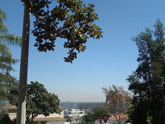 4th image of 3610 Aureola Blvd