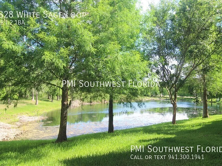 8828 White Sage Loop — Photo 24