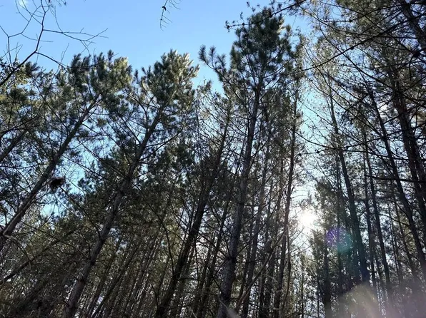 State Highway 64, Laporte, MN 56461