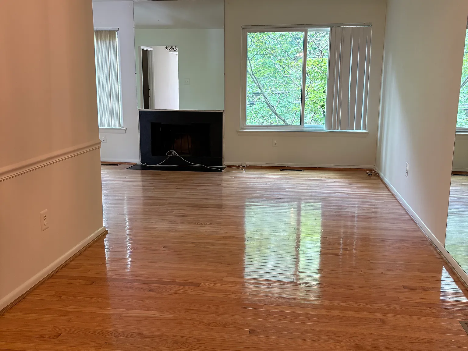 3 bed, 1340 sqft, $3,000 — Photo 4