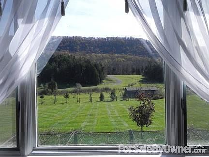 View of backyard/Jenny Jump Mountains