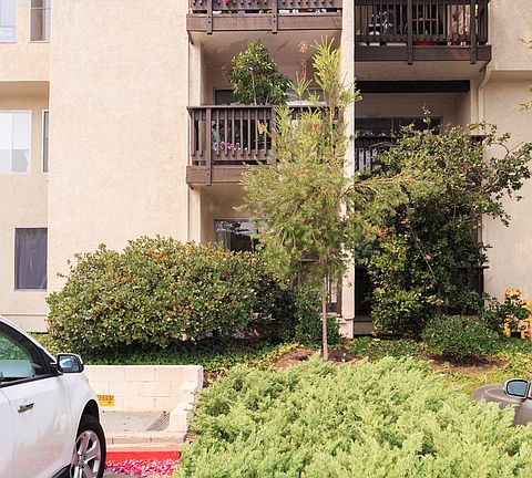 5th image of 4104 Summertime Ln