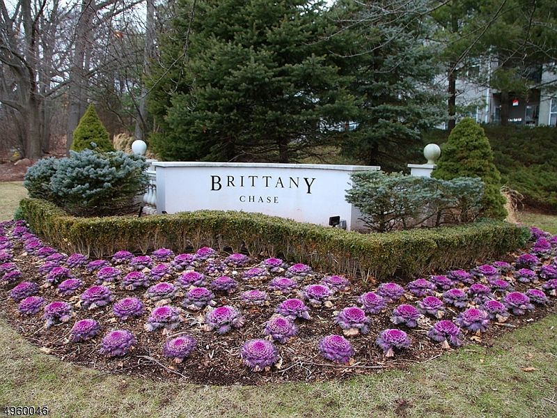 1st image of 8201 BRITTANY DR