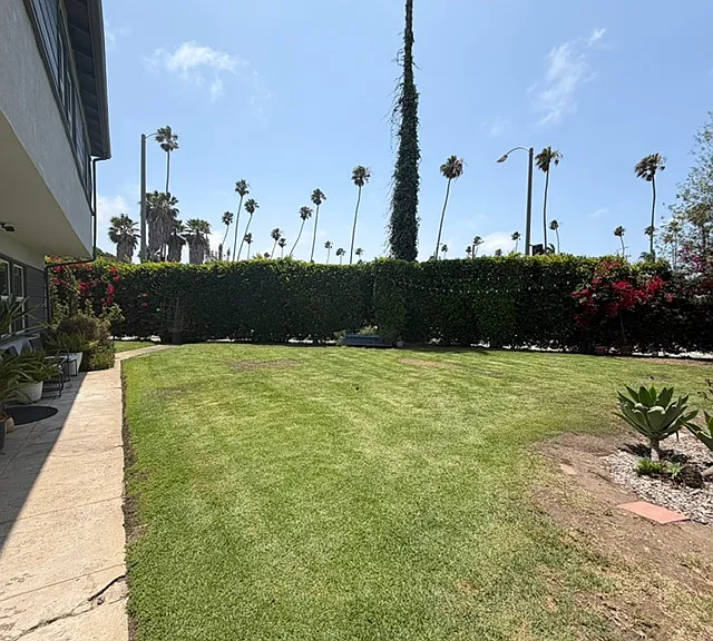 805 Venice Blvd #6 — Photo 16