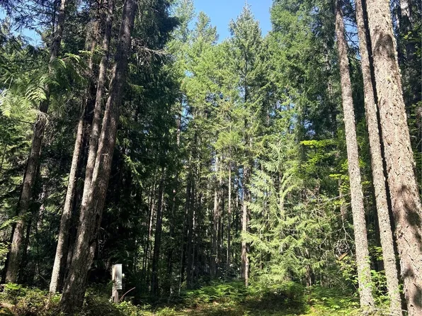 30 N Skokomish Drive, Hoodsport, WA 98548