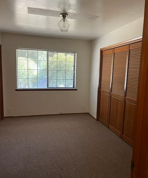 Bedroom Four/Hobby Room