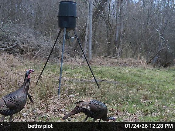 5th image of Jones Ln