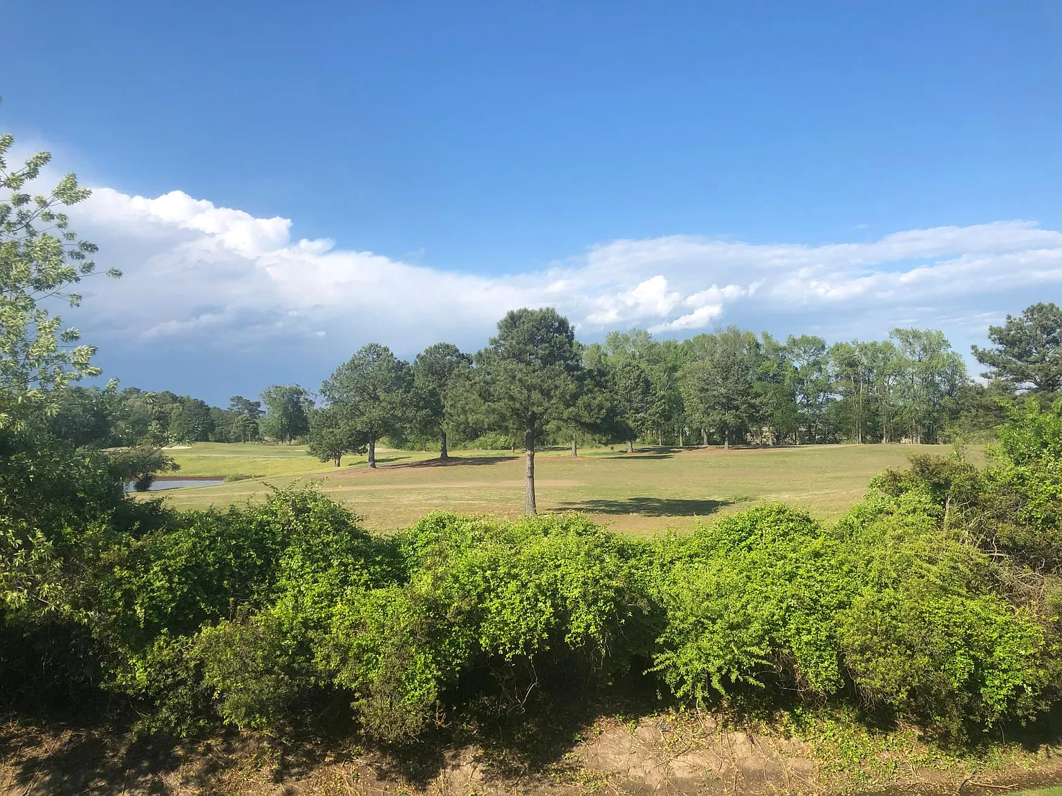 3 bed, 2100 sqft, $2,400 — Photo 4