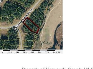 19988 W English Walnut Pl, Brooksville, FL 34601