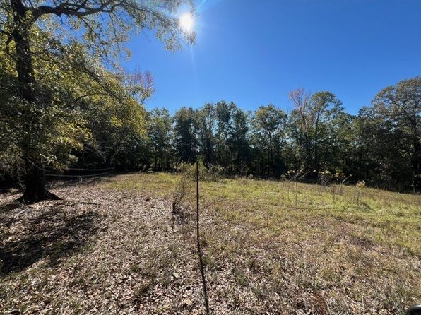 50 Holanna Spur, Morris, GA 39867