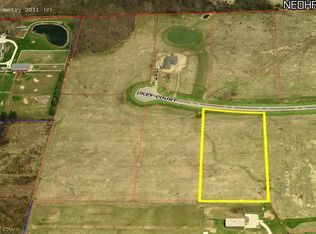 4140-S/L Okey Ct #5, Medina, OH 44256