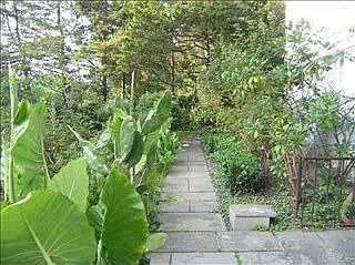2nd image of 42 Cottage Ter
