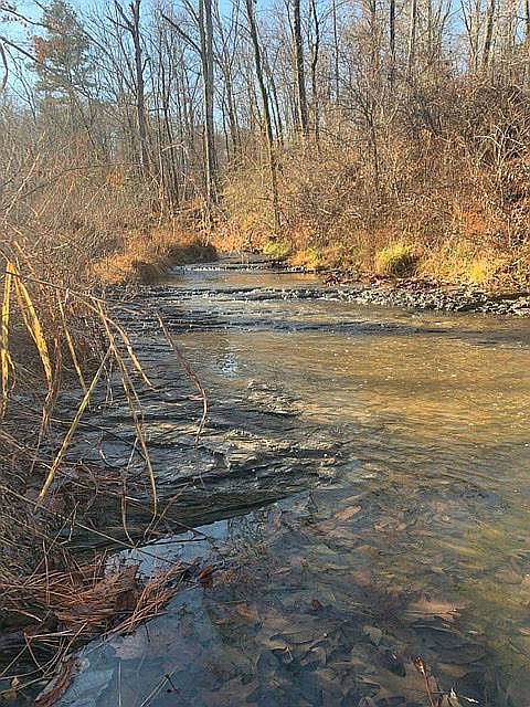 2nd image of 2201 Smith Ford Rd