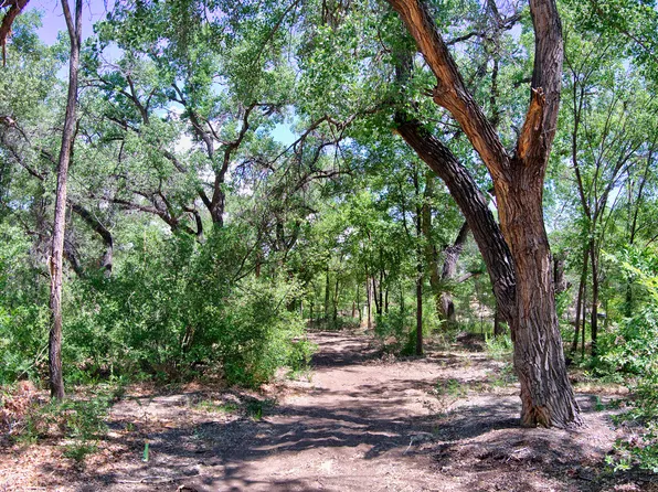 Bosque Oculto Lot B1-b, Corrales, NM 87048