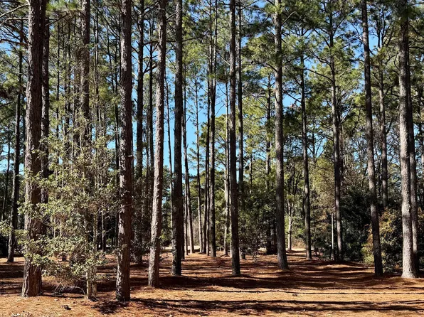195 N Erfie Dr Lot 18, Pinebluff, NC 28373